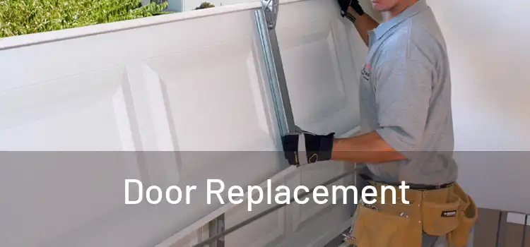  Door Replacement 