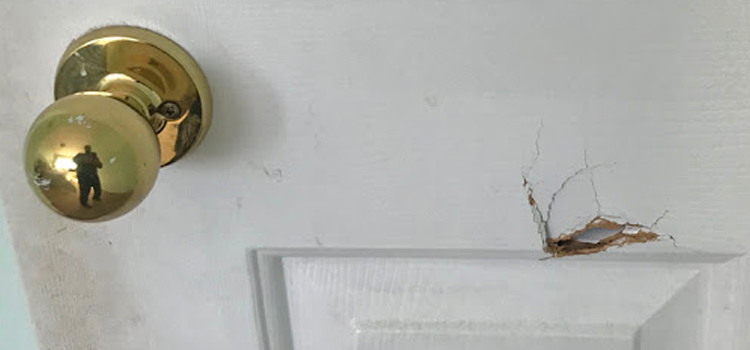 interior door hole repair Napa